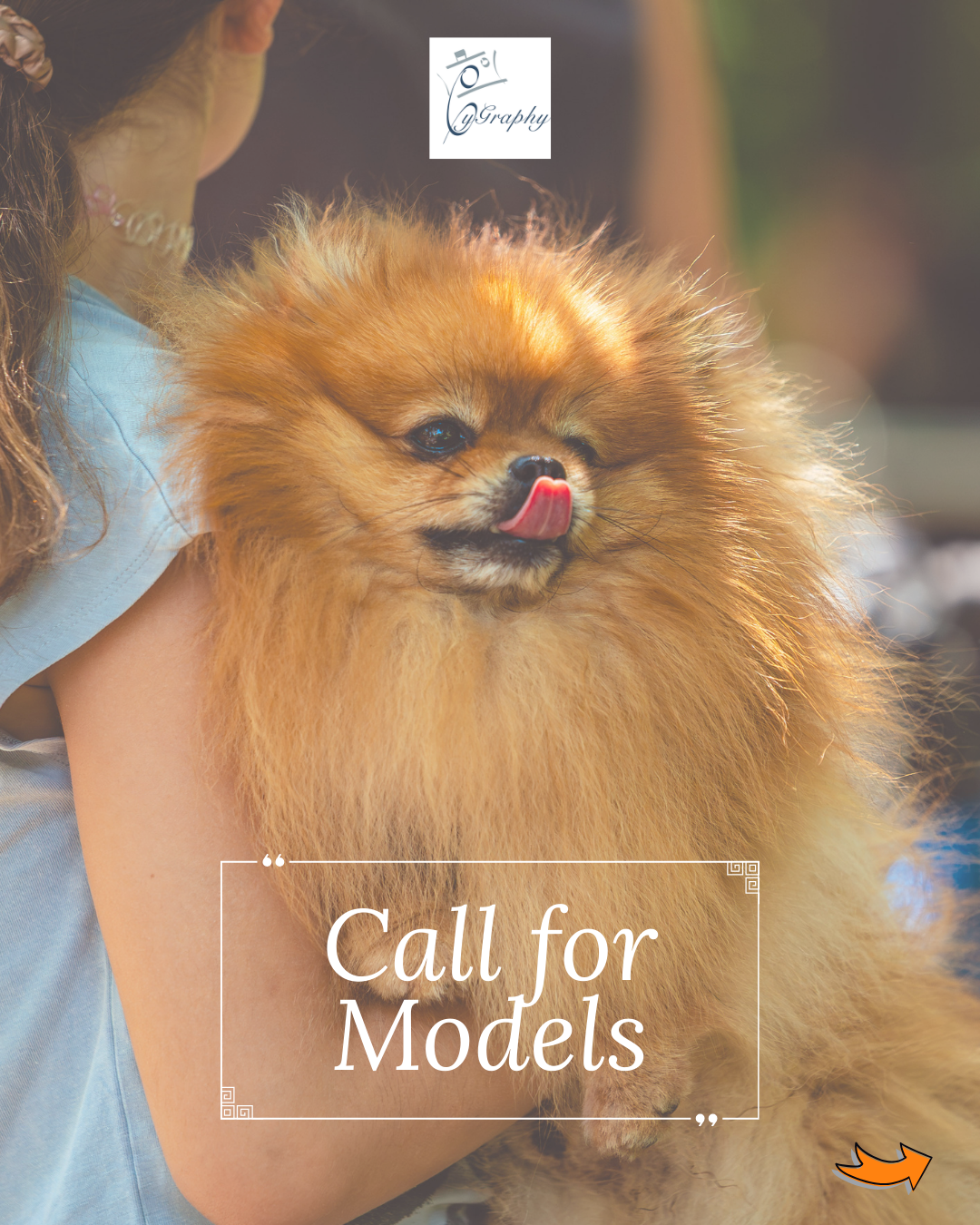 sedinta foto gratuita Sibiu patruped