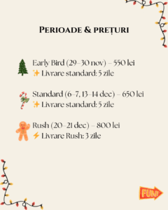 sedinta foto craciun acasa