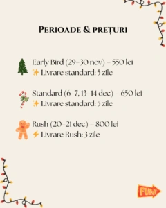 sedinta foto craciun acasa