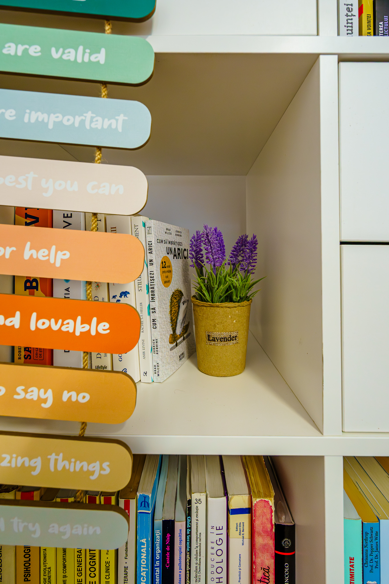 Cabinet Psiho Cygraphy 113 Of 119