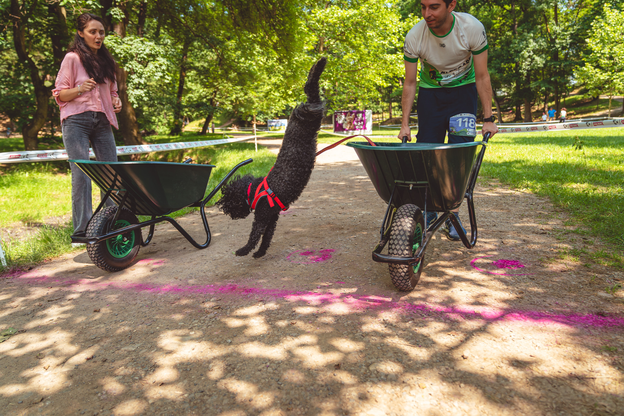 Canicross Sibiu Cygraphy 11