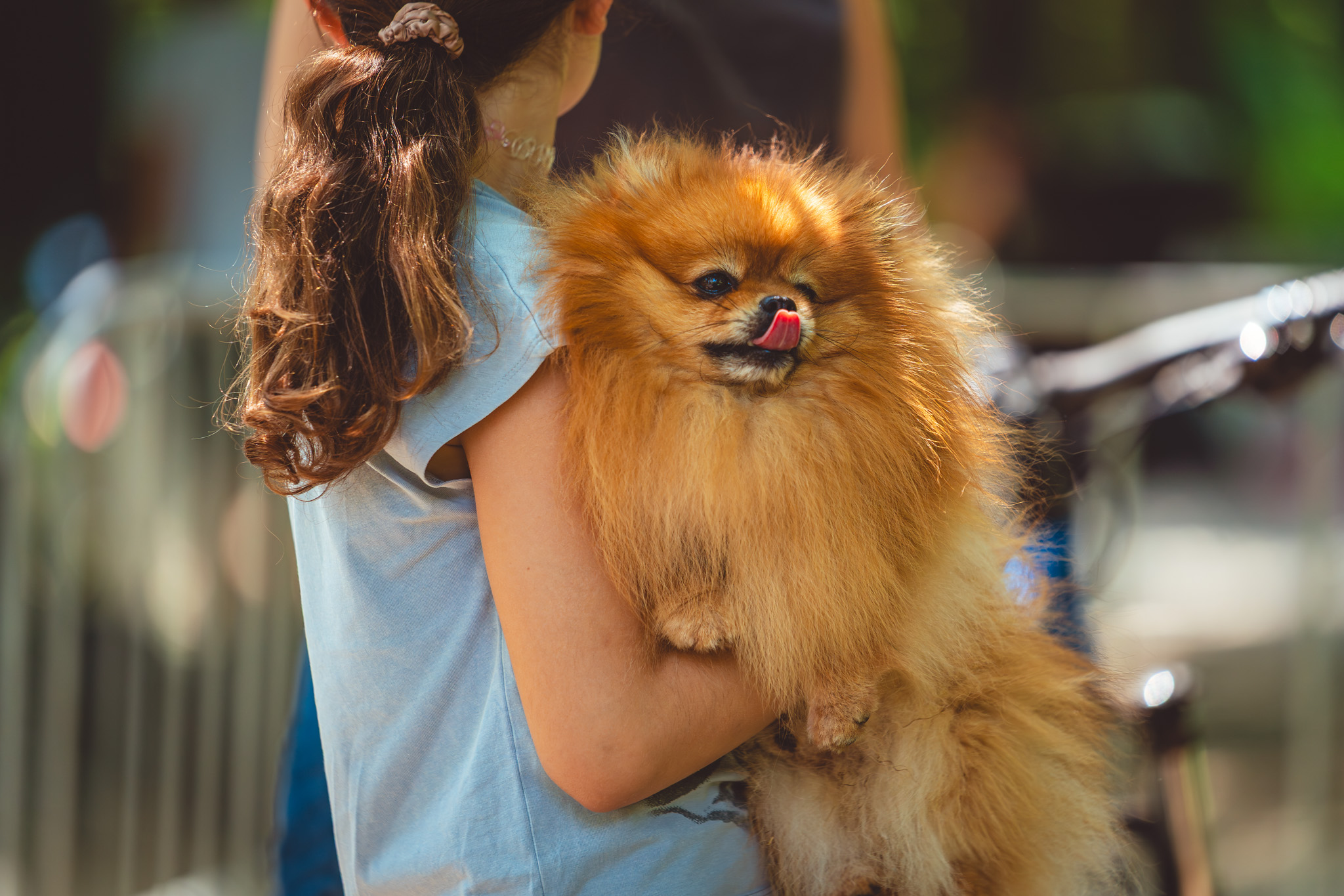 Canicross Sibiu Cygraphy 26