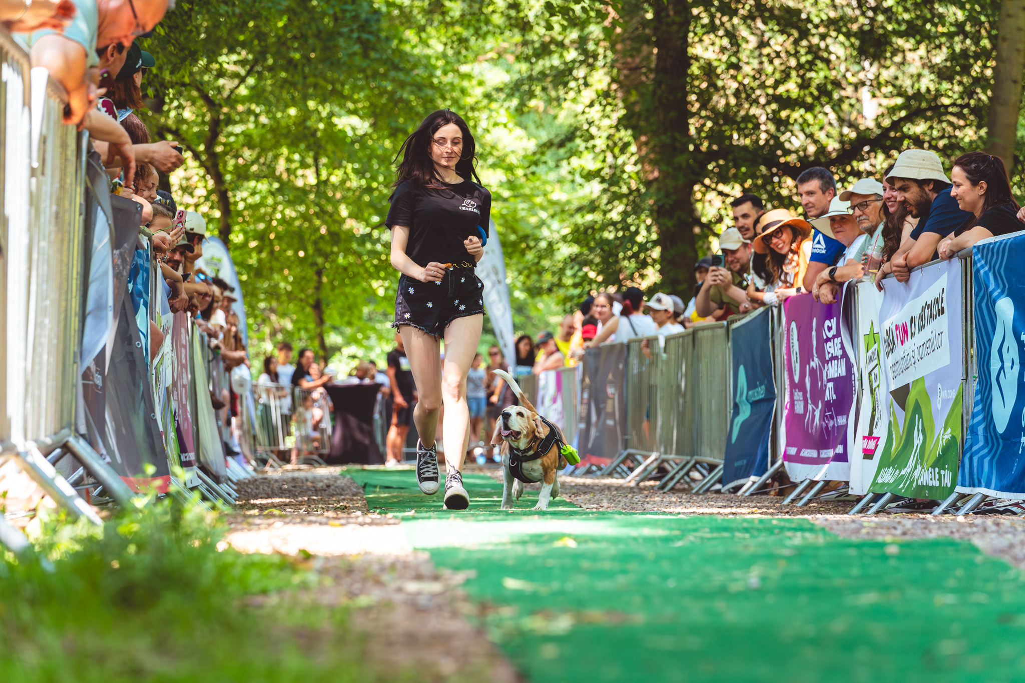 Canicross Sibiu Cygraphy 61